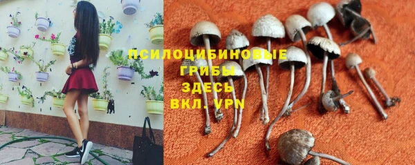 гидропоника Богородицк