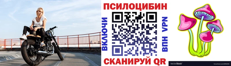 KRAKEN ССЫЛКА  Старый Оскол  Галлюциногенные грибы мицелий 